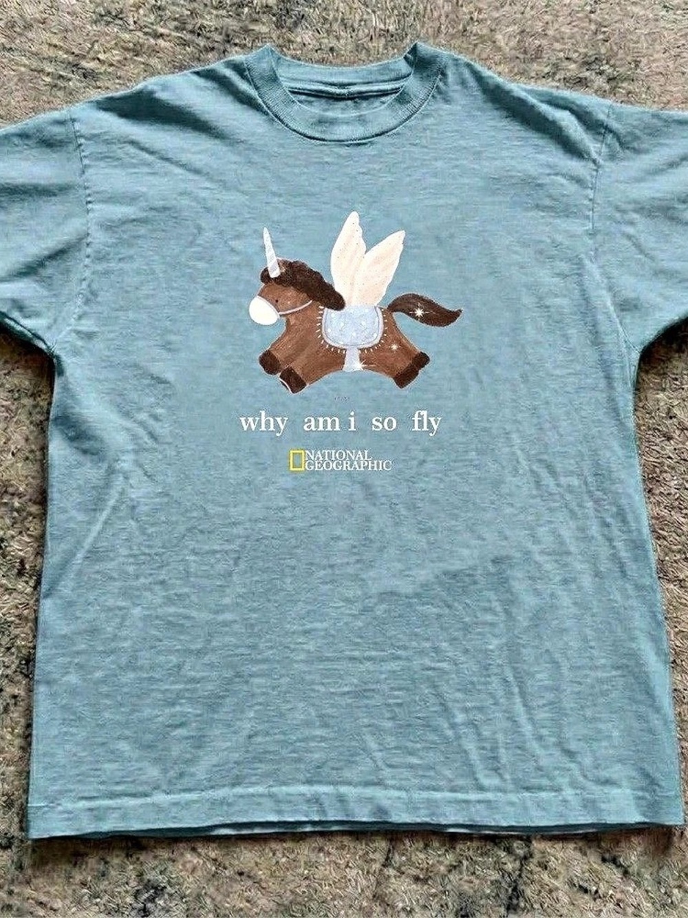 National Geographic Why Am I So Fly Graphic T-Shirt